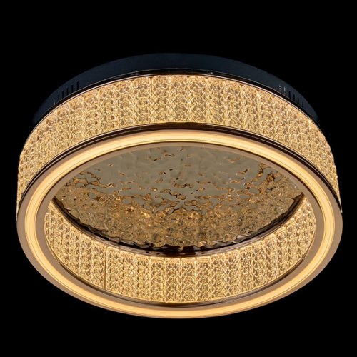 Потолочный светильник Lumiere LE7769/500P Black Chrome