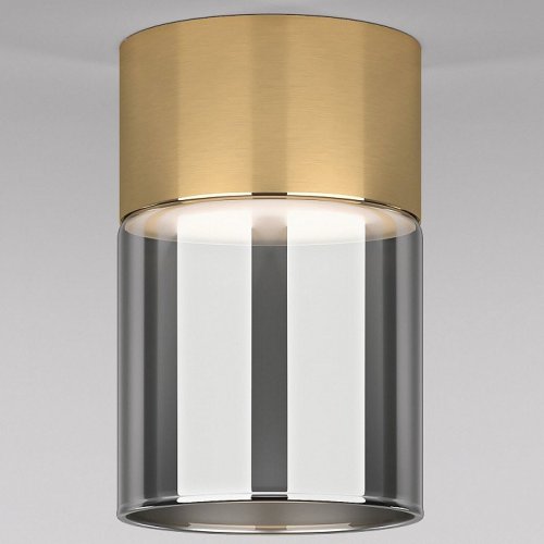 Потолочный светодиодный светильник Elektrostandard Lumen 25047/LED 10W 4000К латунь/дымчатый a064708