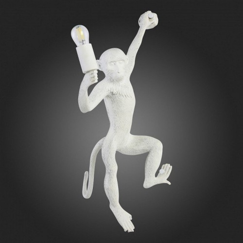 Бра Evoluce Tenato SLE115111-01 Бра Evoluce Tenato SLE115111-01