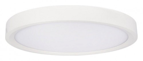 Потолочный светильник Loft IT Extraslim 10227/24 White