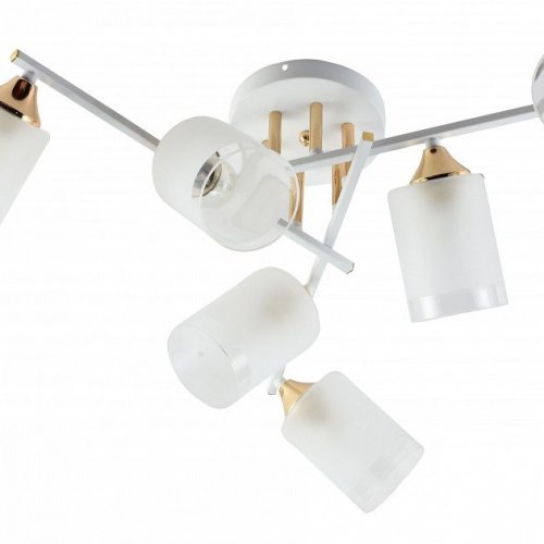 Потолочная люстра Rivoli Georgiana 9144-205 Б0055879 Потолочная люстра Rivoli Georgiana 9144-205 Б0055879