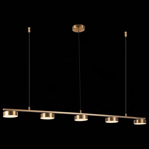 Подвесная светодиодная люстра ST Luce Pances SL6000.303.05