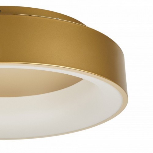 Потолочный светильник MyFar Shannon MR2195-1PL Потолочный светильник MyFar Shannon MR2195-1PL