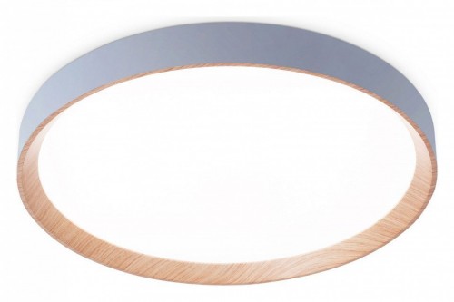 Потолочный светильник Ambrella light Orbital FZ1322