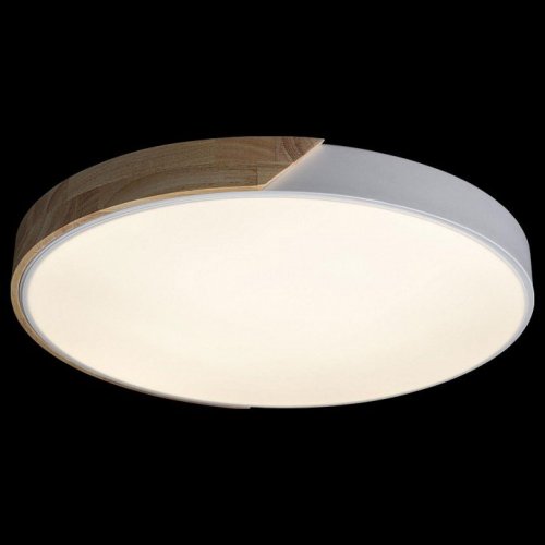 Потолочный светильник Loft IT Axel 10004/36 White