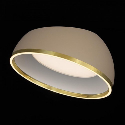 Накладной светильник Citilux FLOOM CL736152