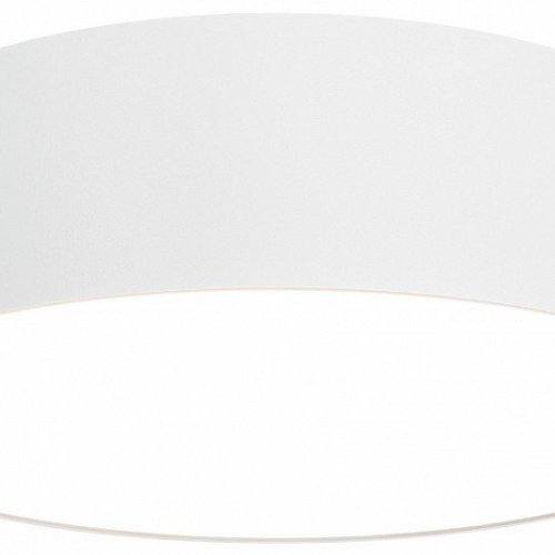 Потолочный светильник Maytoni Zon C032CL-24W3K-RD-W