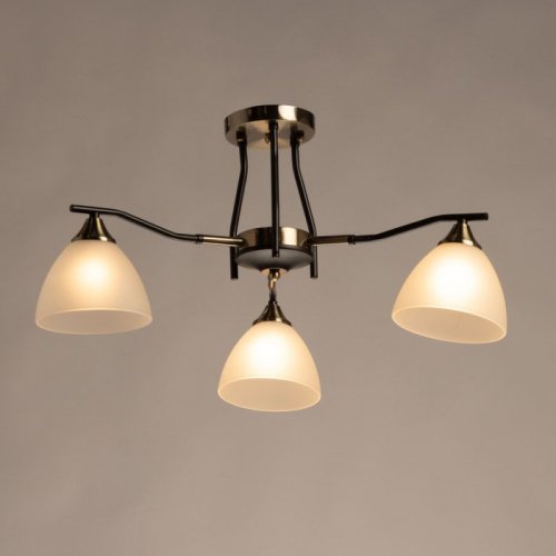 Потолочная люстра Альфа 115010103