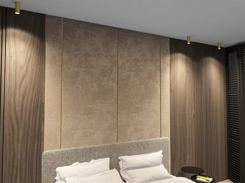 Накладной светильник Denkirs TUBE DK2051-SG Накладной светильник Denkirs TUBE DK2051-SG