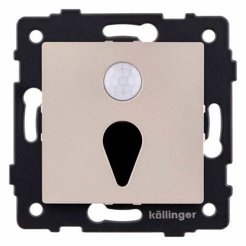 Заглушка для поста с подсветкой, без рамки Kollinger REA-044GD Заглушка для поста с подсветкой, без рамки Kollinger REA-044GD