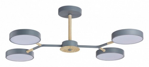 Потолочная люстра Lumion Brad 5651/72CL