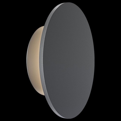 Настенный светильник уличный Maytoni Wald O420WL-L7GF