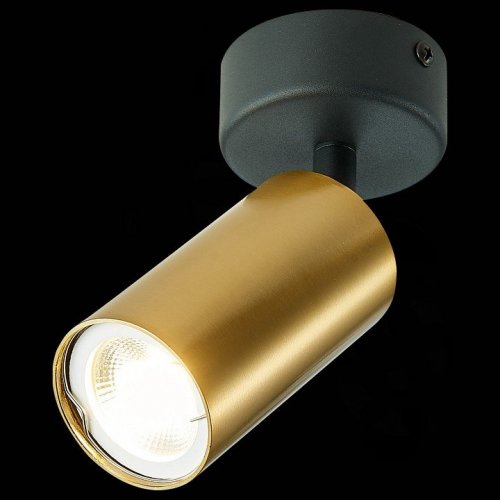 Спот ST Luce ST303.202.01 Спот ST Luce ST303.202.01