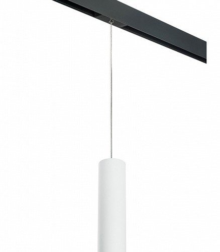 Подвесной светильник Lightstar Rullo PRORP49631