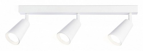 Спот Ambrella light Techno Spot Move TA13148