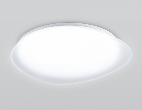 Потолочный светильник Ambrella light Orbital FZ1605