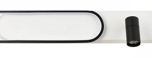 Настенно-потолочный светильник Favourite Planar 4076-2C