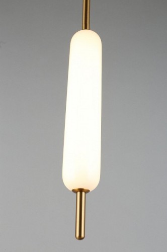 Подвесной светодиодный светильник Aployt Carla APL.010.06.08