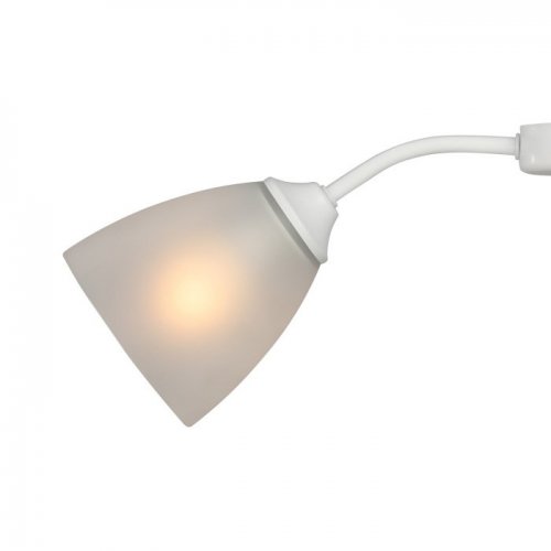 Потолочная люстра  V3750/2PL