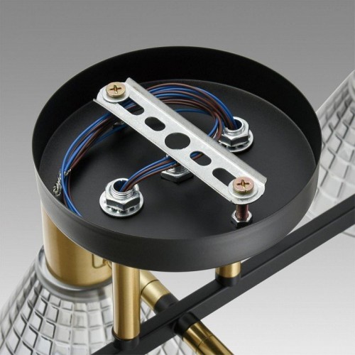 Потолочная люстра Lumion Anriya 8044/6C Потолочная люстра Lumion Anriya 8044/6C