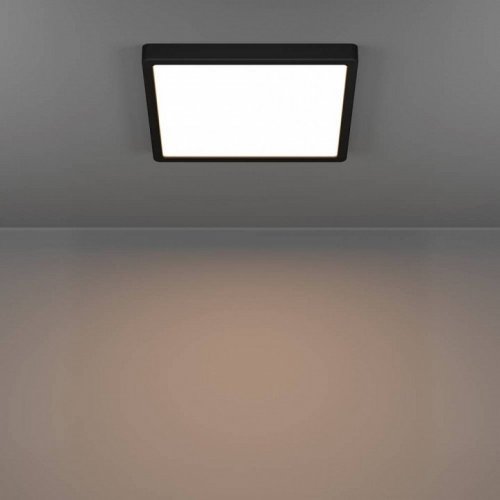 Настенно-потолочный светильник Fueva 6 901331