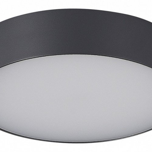 Потолочный светильник уличный ST Luce Sun SL9518.702.01 Потолочный светильник уличный ST Luce Sun SL9518.702.01