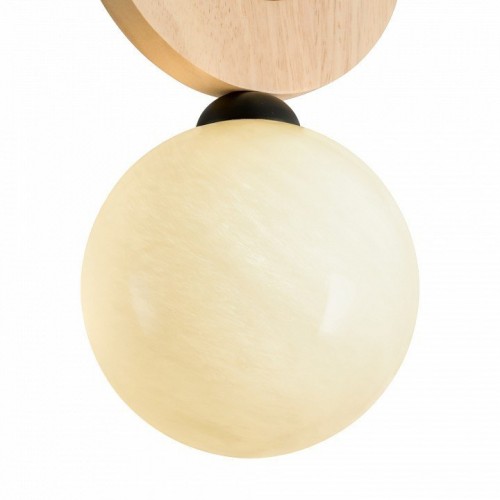 Подвесной светильник Freya Irisa FR5593PL-01B1 Подвесной светильник Freya Irisa FR5593PL-01B1