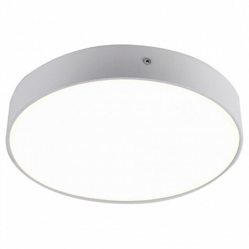 Потолочный светодиодный светильник Favourite Flashled 2065-30C Потолочный светодиодный светильник Favourite Flashled 2065-30C