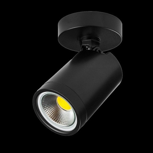 Точечный светильник Lightstar Rullo 213407