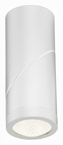 Светодиодный спот ST Luce ST650.532.10 Светодиодный спот ST Luce ST650.532.10