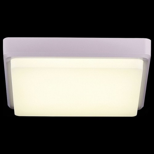 Потолочный светодиодный светильник Evoluce Taddio SLE200212-01 Потолочный светодиодный светильник Evoluce Taddio SLE200212-01