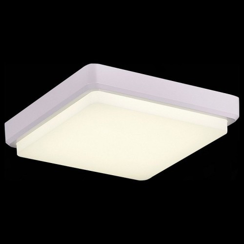 Потолочный светодиодный светильник Evoluce Taddio SLE200212-01 Потолочный светодиодный светильник Evoluce Taddio SLE200212-01