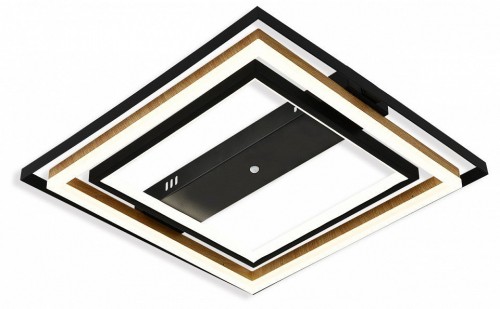 Потолочная люстра Escada Lagom 10249/2LED