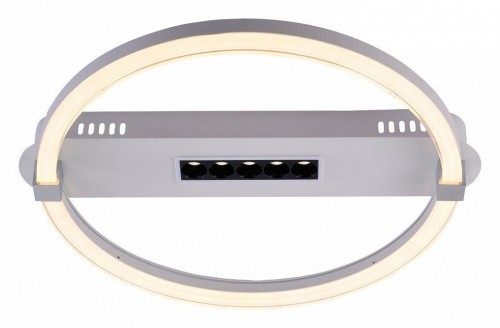 Потолочный светодиодный светильник Escada Aspect 10253/1LED