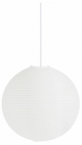 Подвесной светильник EVOLUCE MOON SLE6020-503-01