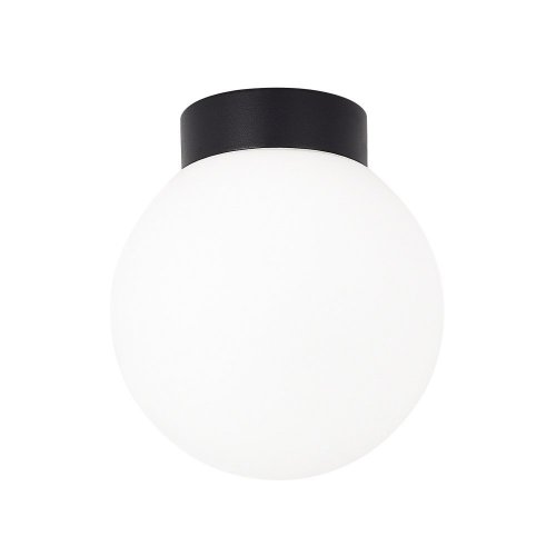 Настенно-потолочный светильник Munich DL18031G9Black 150