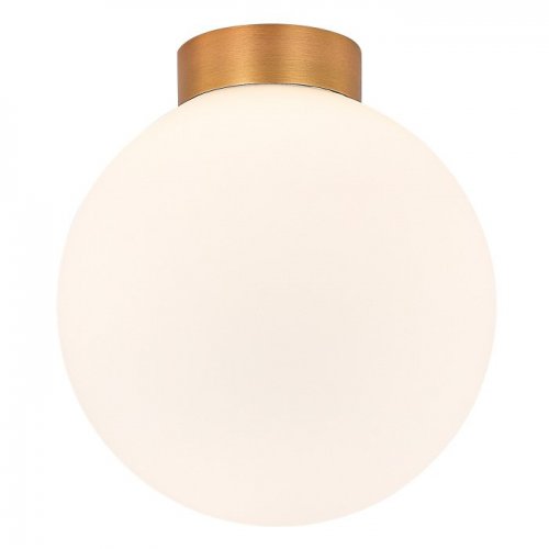 Настенно-потолочный светильник Munich DL18031G9Bronze 200