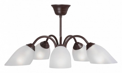 Потолочная люстра Vitaluce V3335-7/5PL