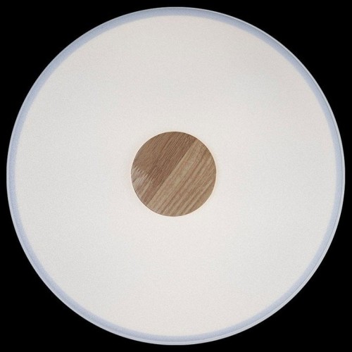 Потолочный светильник Loft IT Axel 10003/24 White