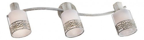 Настенно-потолочный светильник Eurosvet 20025/3 белый с золотом