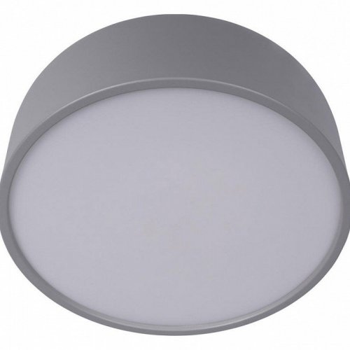Потолочный светильник Loft IT Axel 10201/350 Grey