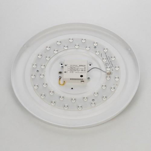 Потолочный светильник Citilux Bart CL755391