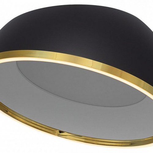 Накладной светильник Citilux FLOOM CL736151 Накладной светильник Citilux FLOOM CL736151