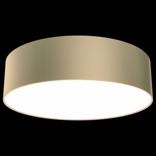 Потолочный светильник Maytoni Zon C032CL-L32MG3K