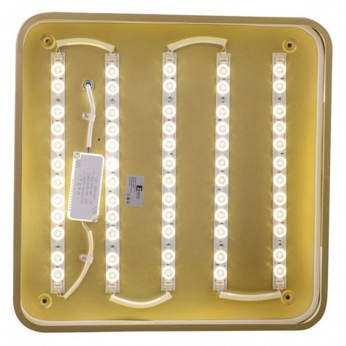 Потолочный светильник Zortes Gabby ZRS.1215.03