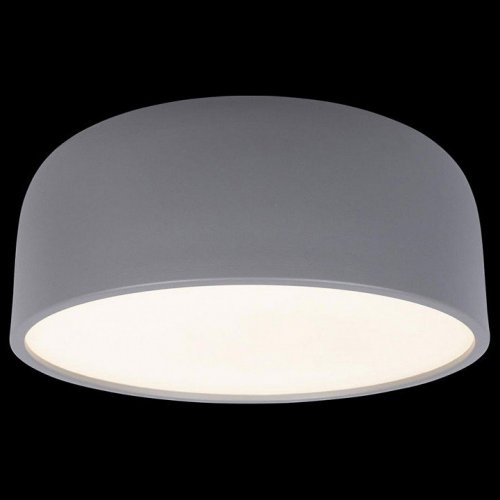 Потолочный светильник Loft IT Axel 10201/350 Grey