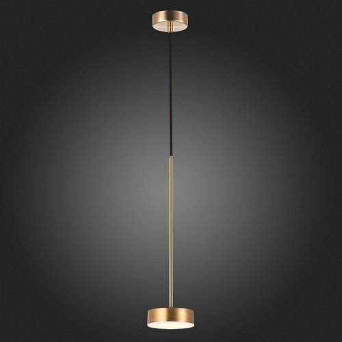 Подвесной светодиодный светильник ST Luce Pances SL6000.303.01