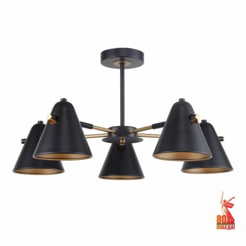 Потолочная люстра F-Promo Rigor 2844-5P