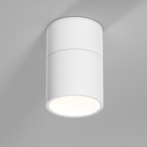 Потолочный светильник Elektrostandard 25112/LED a067487 Потолочный светильник Elektrostandard 25112/LED a067487