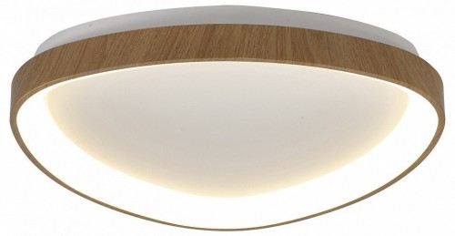 Потолочный светодиодный светильник Mantra Niseko II 8632